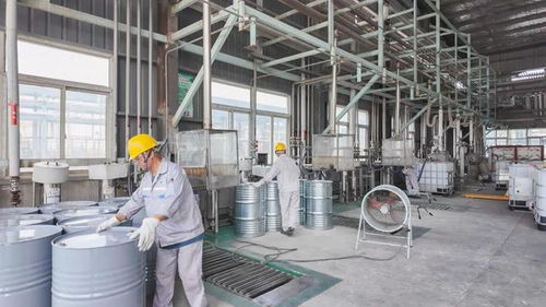 年產34800噸日用百貨改擴建項目9月試生產，助推濱海產業升級